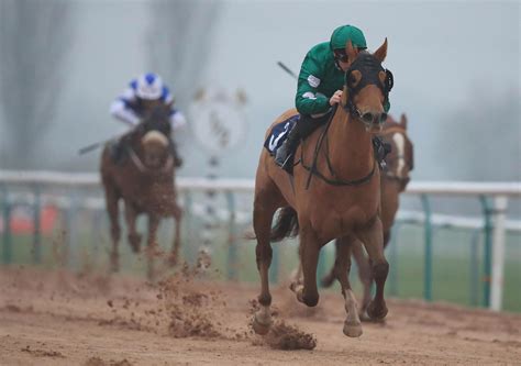 southwell horse racing results|Southwell Results Yesterday .